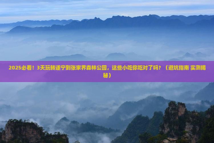 遂宁到张家界森林公园旅游小吃