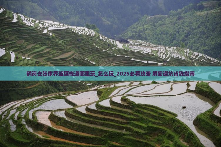 鹤岗去张家界玻璃栈道哪里玩