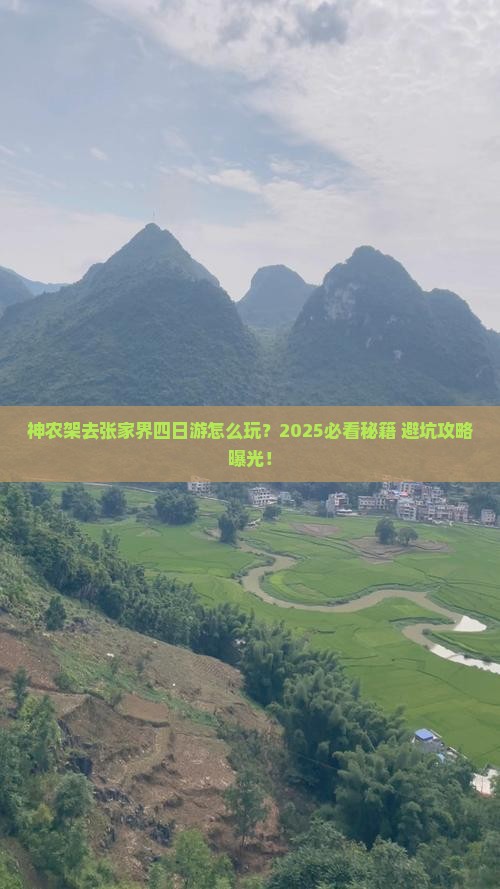 神农架去张家界四日游
