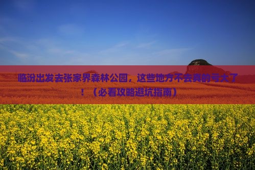 临汾去张家界森林公园必去地