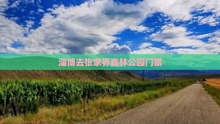 淄博去张家界森林公园门票