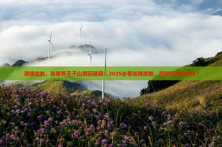 清徐去张家界天子山旅行社