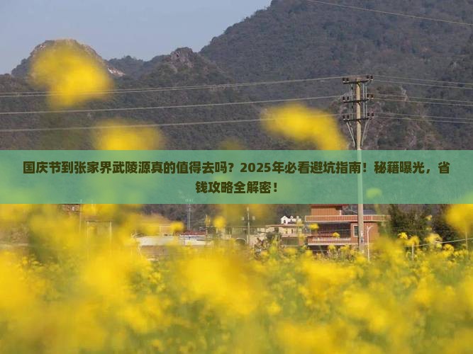 国庆节到张家界武陵源旅行社
