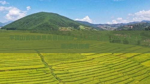 平顶山去张家界芙蓉镇旅游