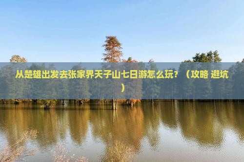楚雄去张家界天子山七日游