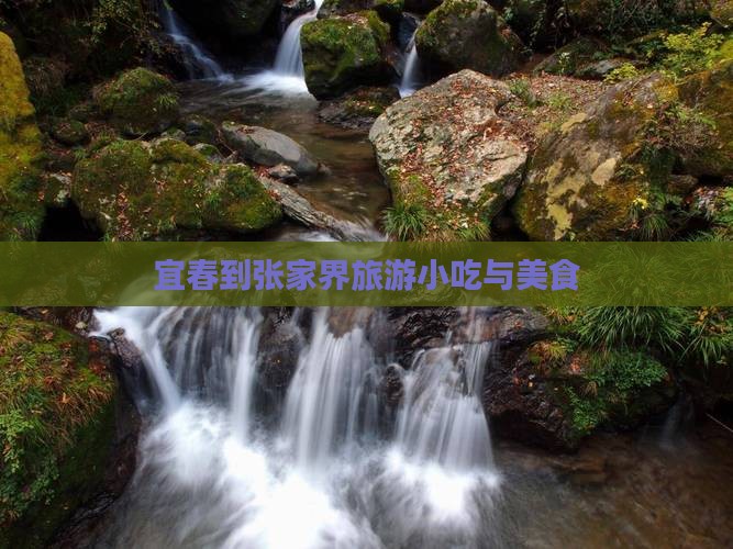 宜春到张家界旅游小吃