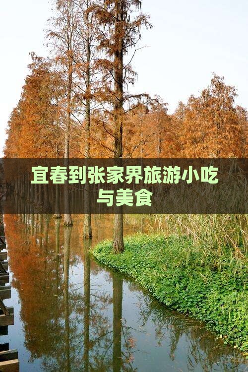 宜春到张家界旅游小吃