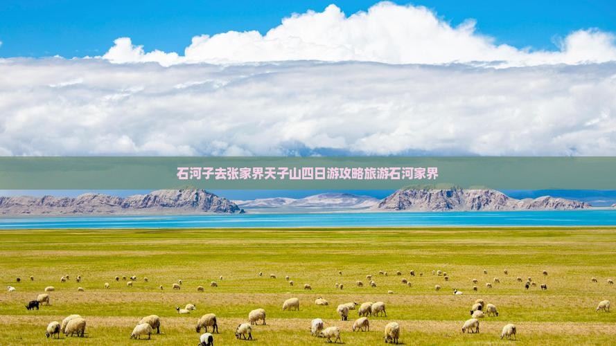 石河子去张家界天子山四日游