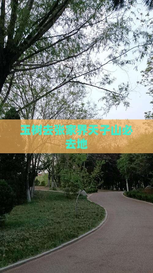 玉树去张家界天子山必去地
