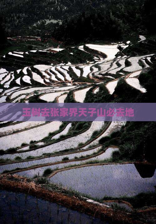 玉树去张家界天子山必去地