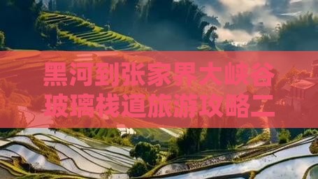 黑河去张家界玻璃栈道二日游