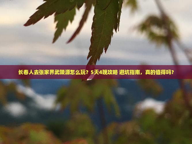 长春去张家界武陵源旅行社