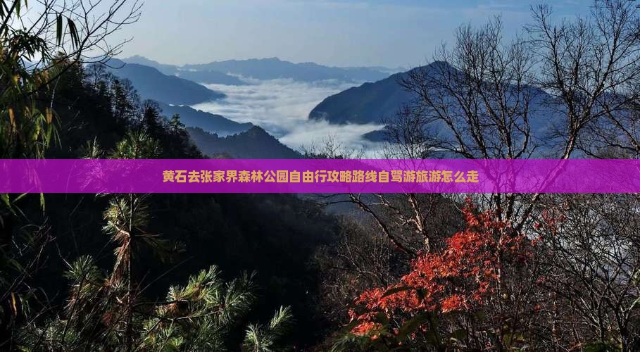 黄石去张家界森林公园自由行 黄石去张家界森林公园自由行