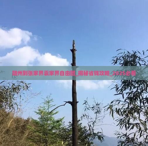 随州到张家界袁家界自由团 随州到张家界袁家界自由团