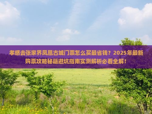 孝感去张家界凤凰古城门票