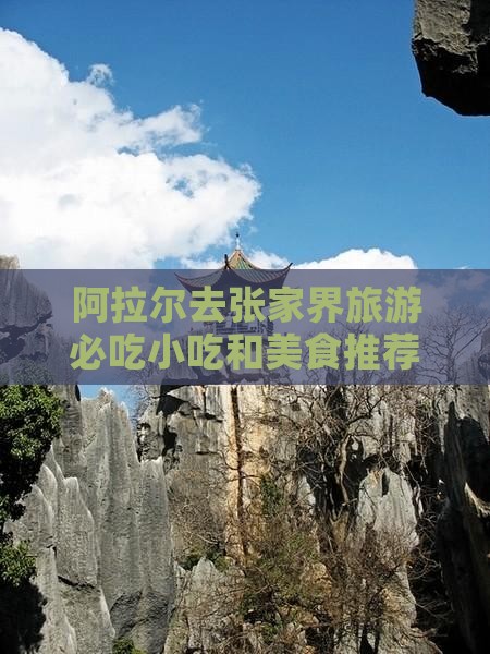 阿拉尔去张家界旅游小吃