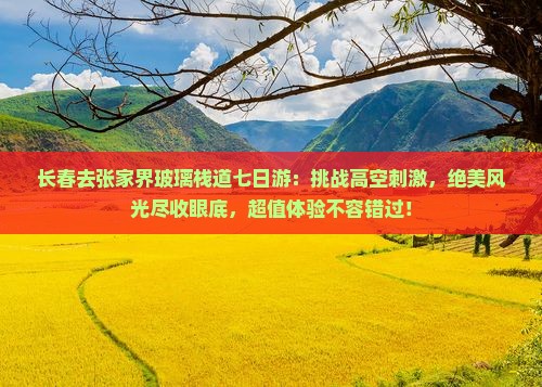 长春去张家界玻璃栈道七日游