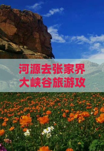 河源去张家界大峡谷大型旅游团