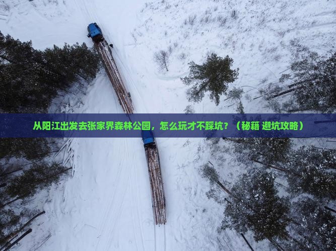 阳江去张家界森林公园哪里玩