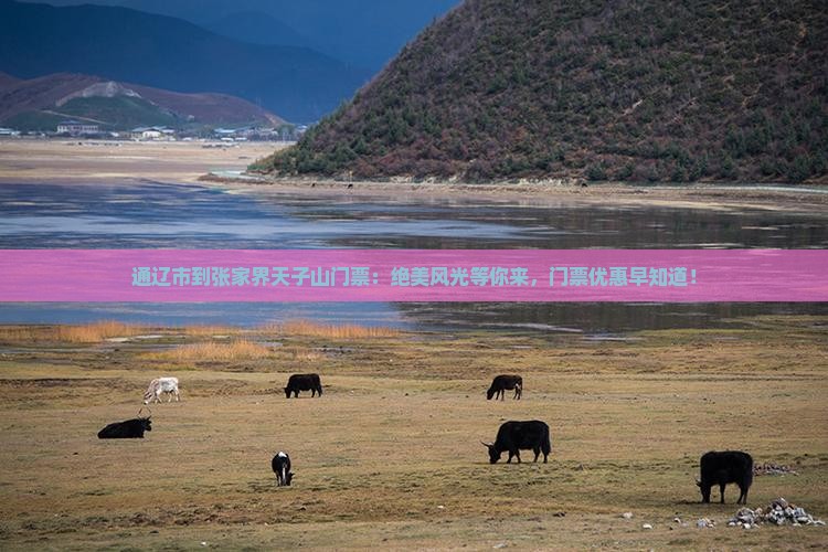 通辽市到张家界天子山门票