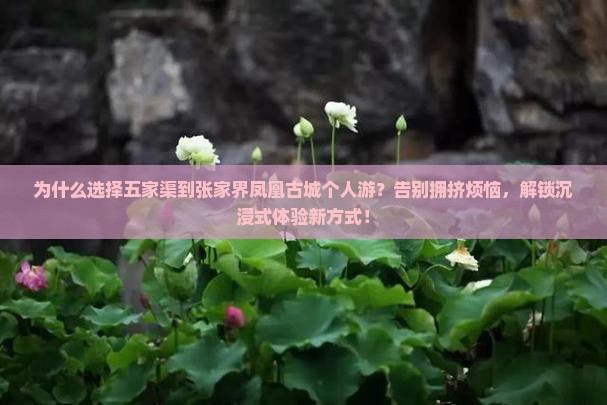 五家渠到张家界凤凰古城个人游