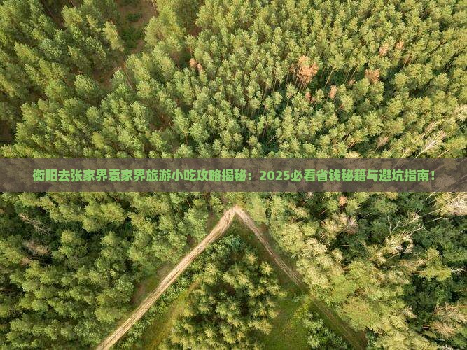 衡阳去张家界袁家界旅游小吃