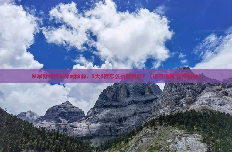 阜新到张家界武陵源门票