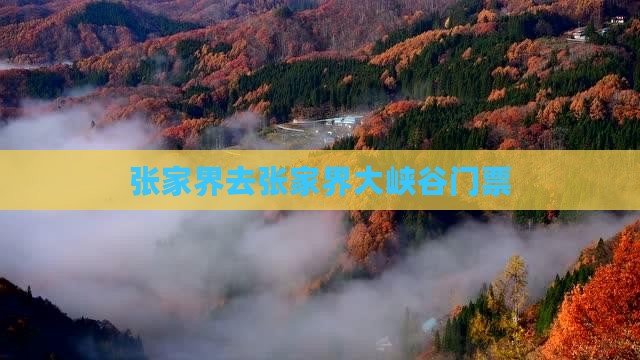 张家界去张家界大峡谷门票