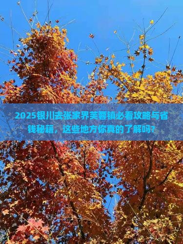 银川去张家界芙蓉镇必去地