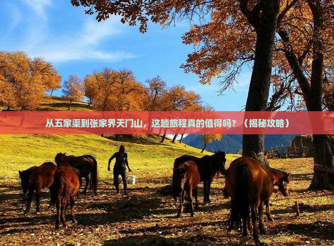 五家渠到张家界天门山旅游