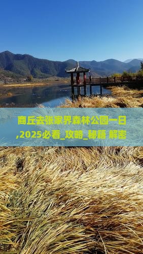 商丘去张家界森林公园一日