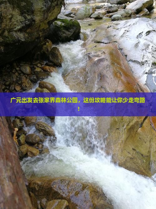 广元去张家界森林公园旅行社