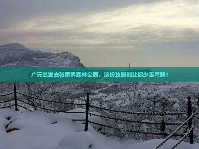 广元去张家界森林公园旅行社