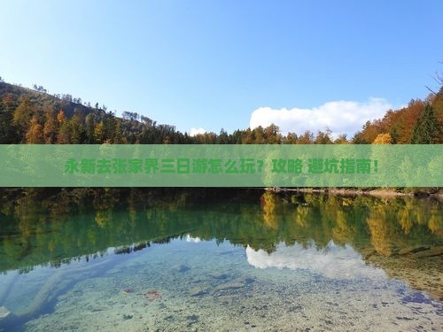 永新去张家界三日游