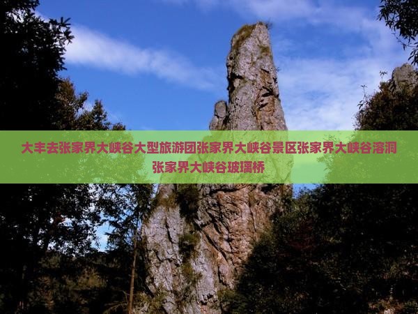 大丰去张家界大峡谷大型旅游团