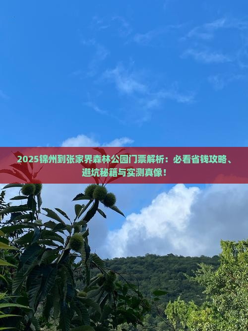 锦州到张家界森林公园门票