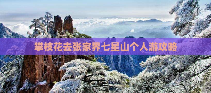 攀枝花去张家界七星山个人游