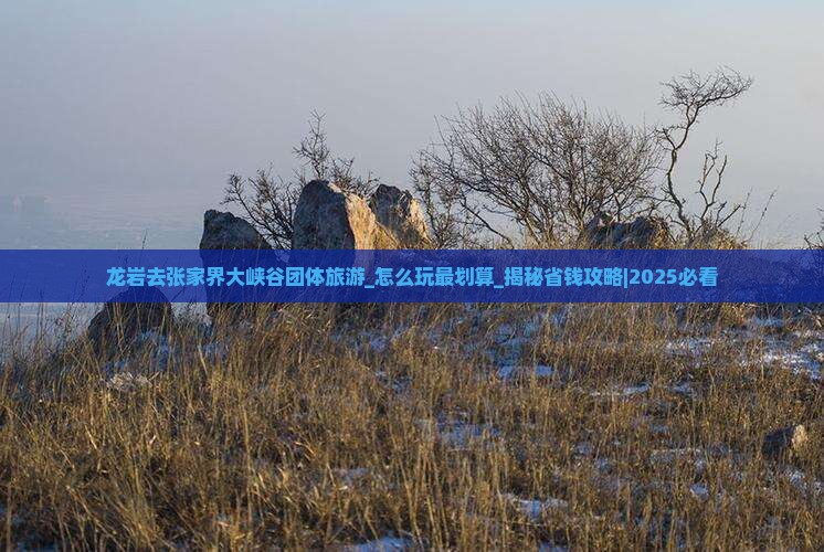 龙岩去张家界大峡谷团体旅游