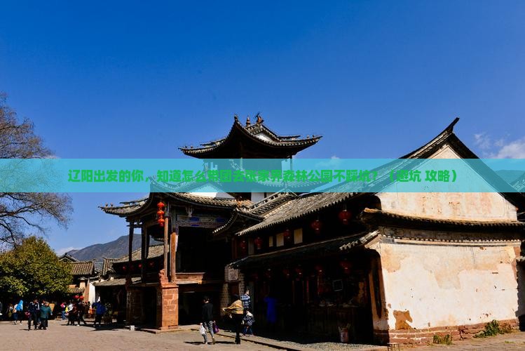 辽阳到张家界森林公园大型旅游团