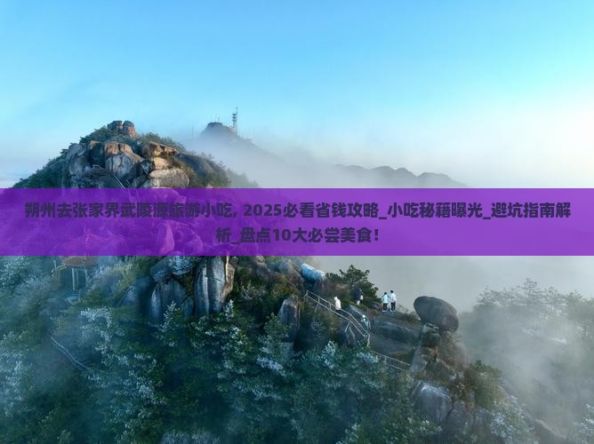 朔州去张家界武陵源旅游小吃