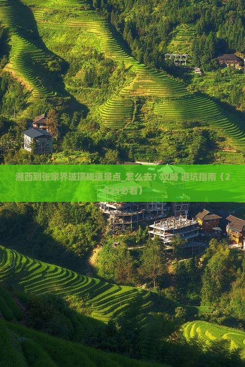 湘西到张家界玻璃栈道景点