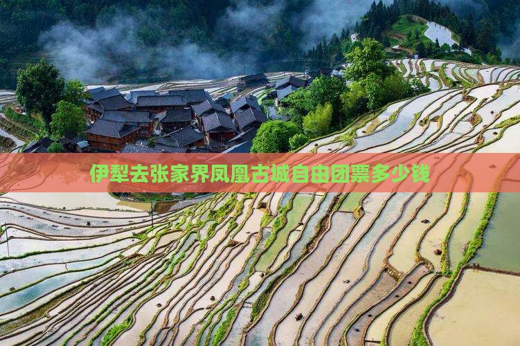 伊犁去张家界凤凰古城自由团