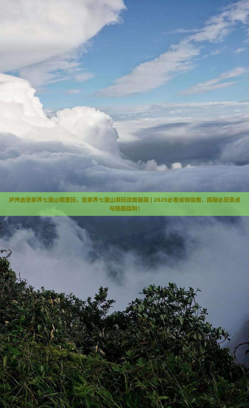 泸州去张家界七星山哪里玩