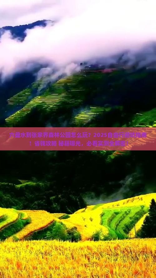 六盘水到张家界森林公园自由行 六盘水到张家界森林公园自由行