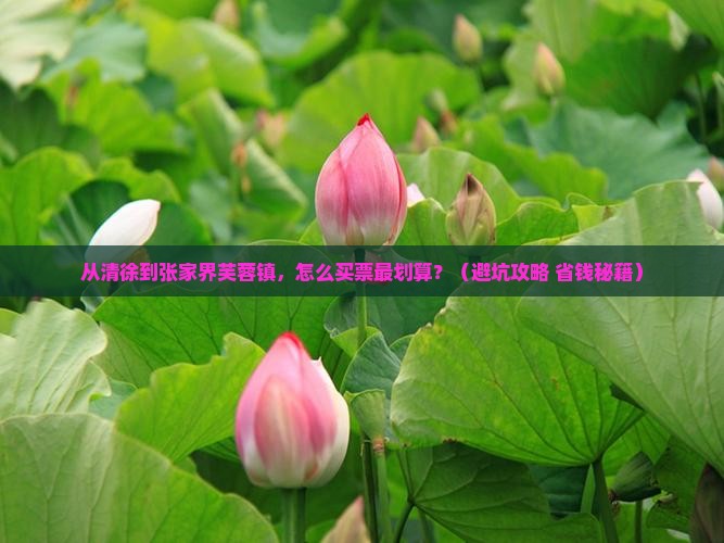清徐到张家界芙蓉镇门票