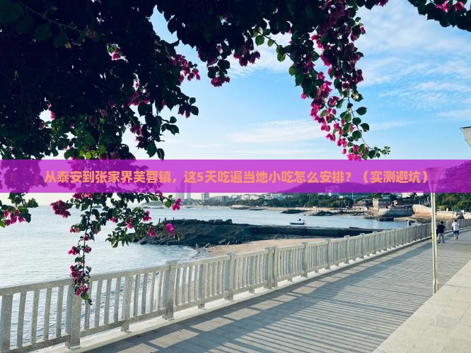 泰安到张家界芙蓉镇旅游小吃