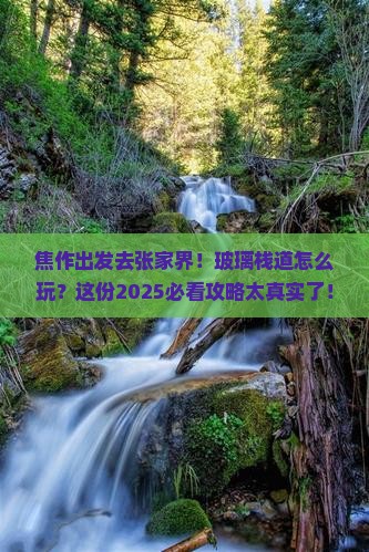焦作到张家界玻璃栈道攻略