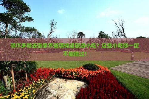 鄂尔多斯去张家界玻璃栈道旅游小吃