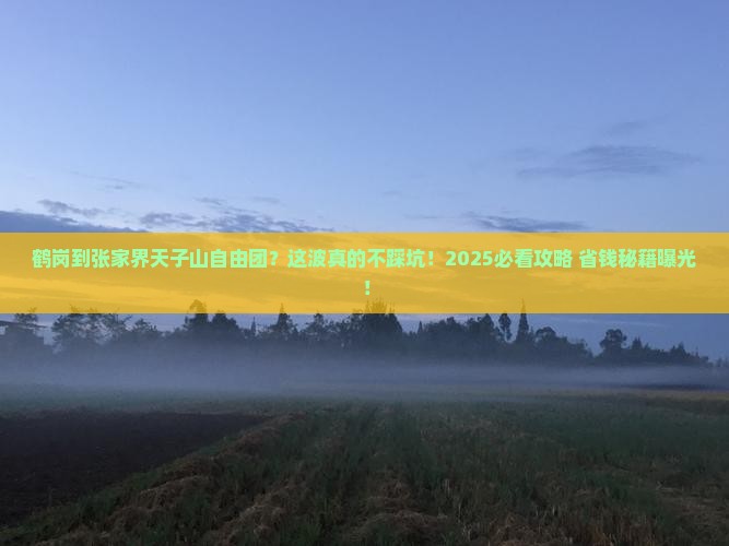 鹤岗到张家界天子山自由团