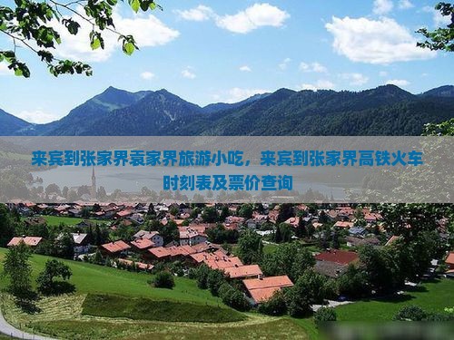 来宾到张家界袁家界旅游小吃